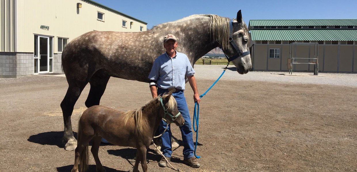 Paul with a large and small horse