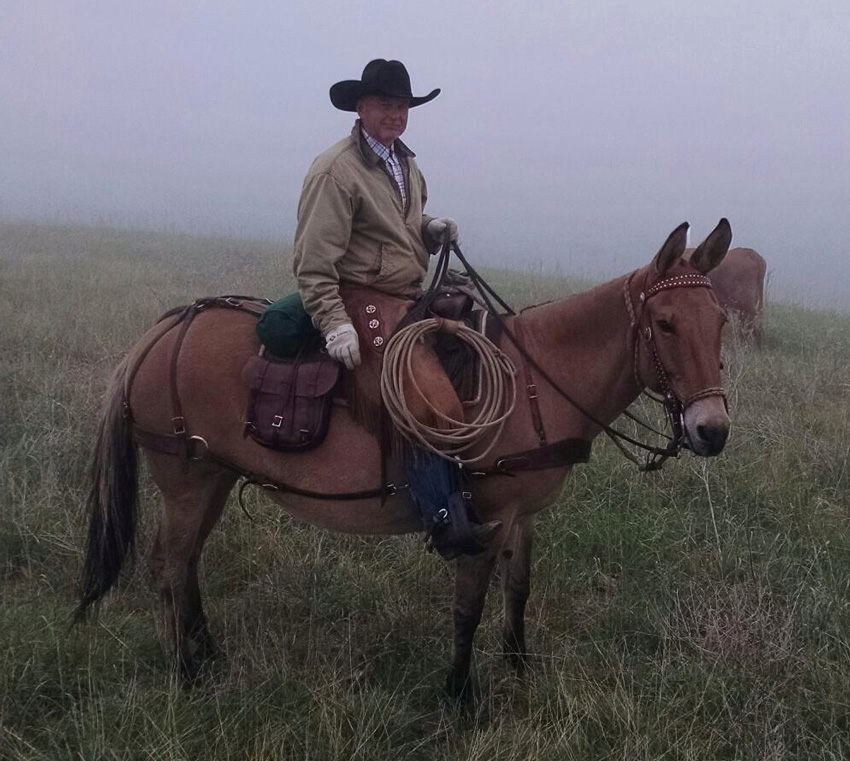 Paul astride a mule in cool weather