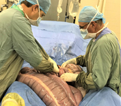 Horse in surgery being attended to by veterinarian